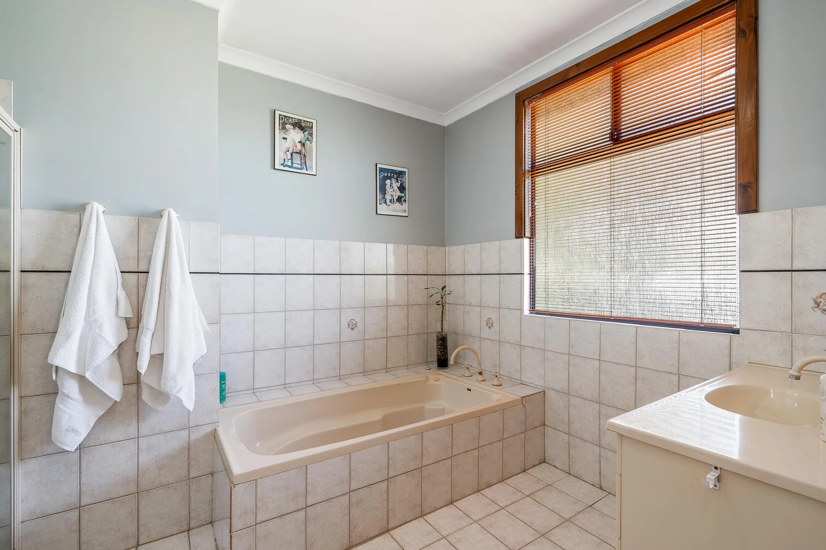 Additional image 61 of 59 Guppy Street, Pemberton WA 6260