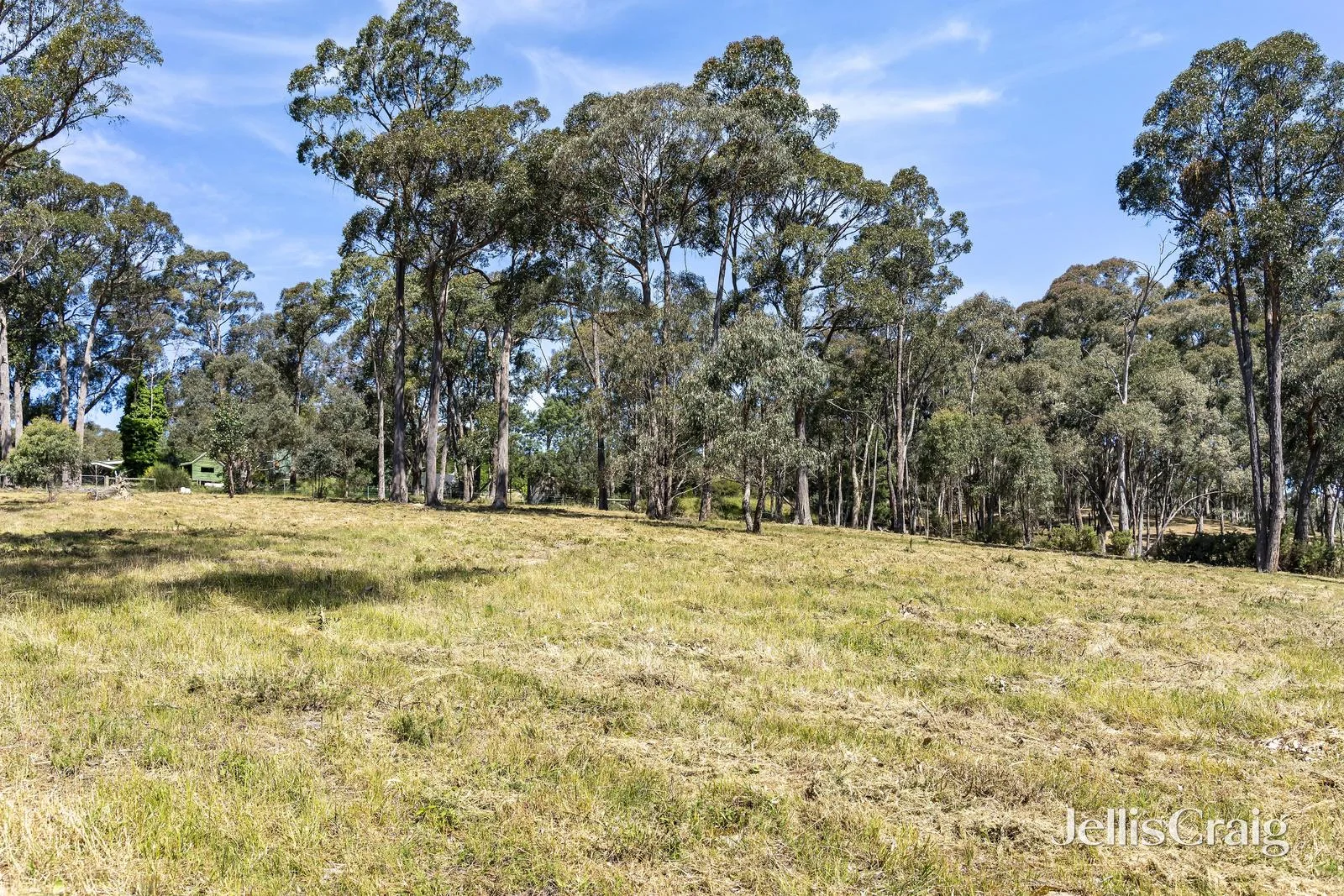 Additional image 3 of 52A Western Avenue, Hepburn VIC 3461