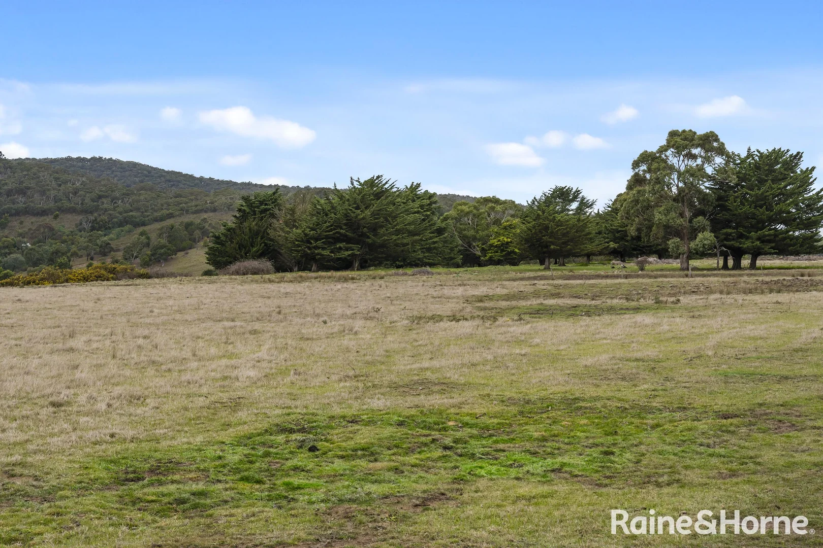 Additional image 12 of 465 Hamilton Road, New Gisborne VIC 3438