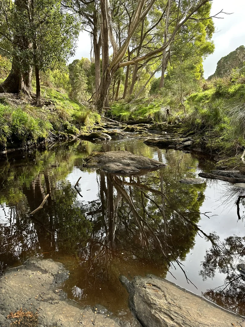 Additional image 29 of 90 Bischoffs Road, Pegarah TAS 7256