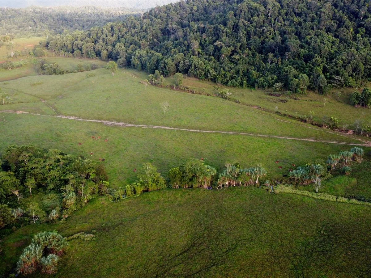 Additional image 21 of 000 Poppi Road, Cowley QLD 4871