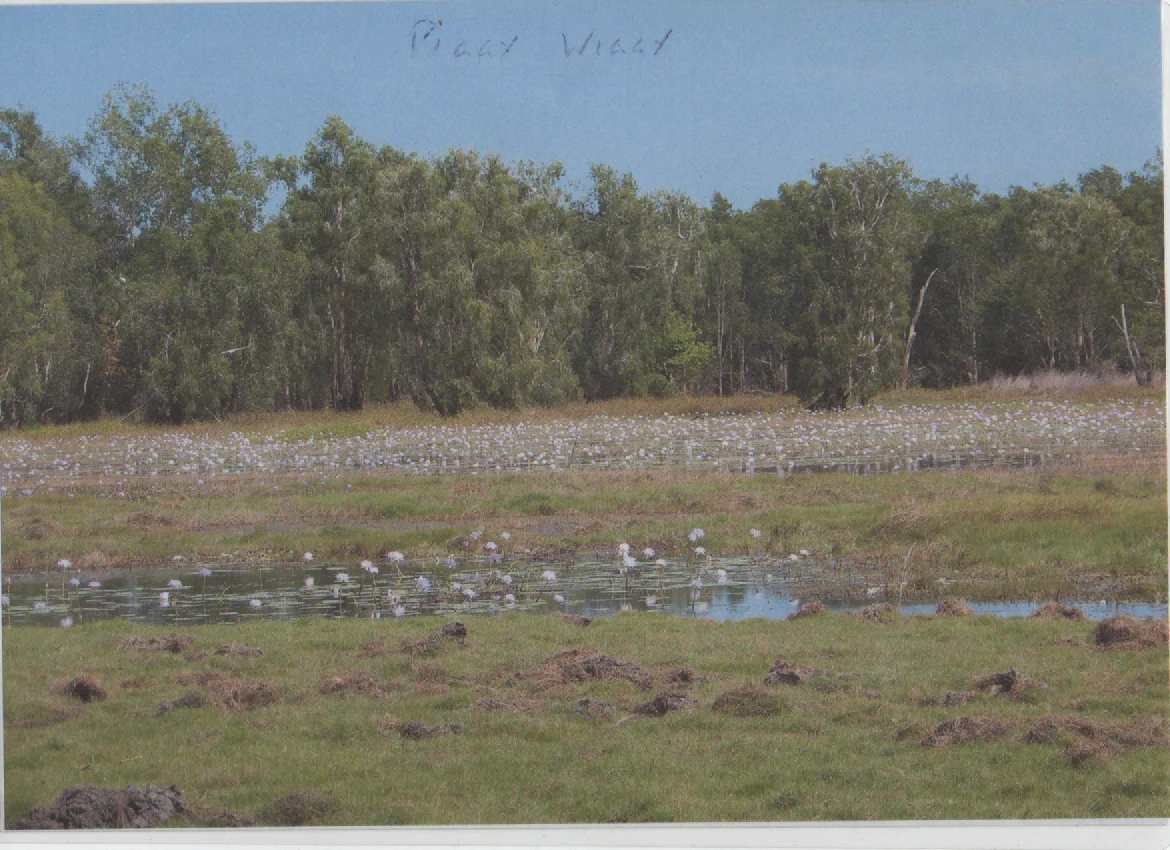 Additional image 5 of Bynoe NT 0822