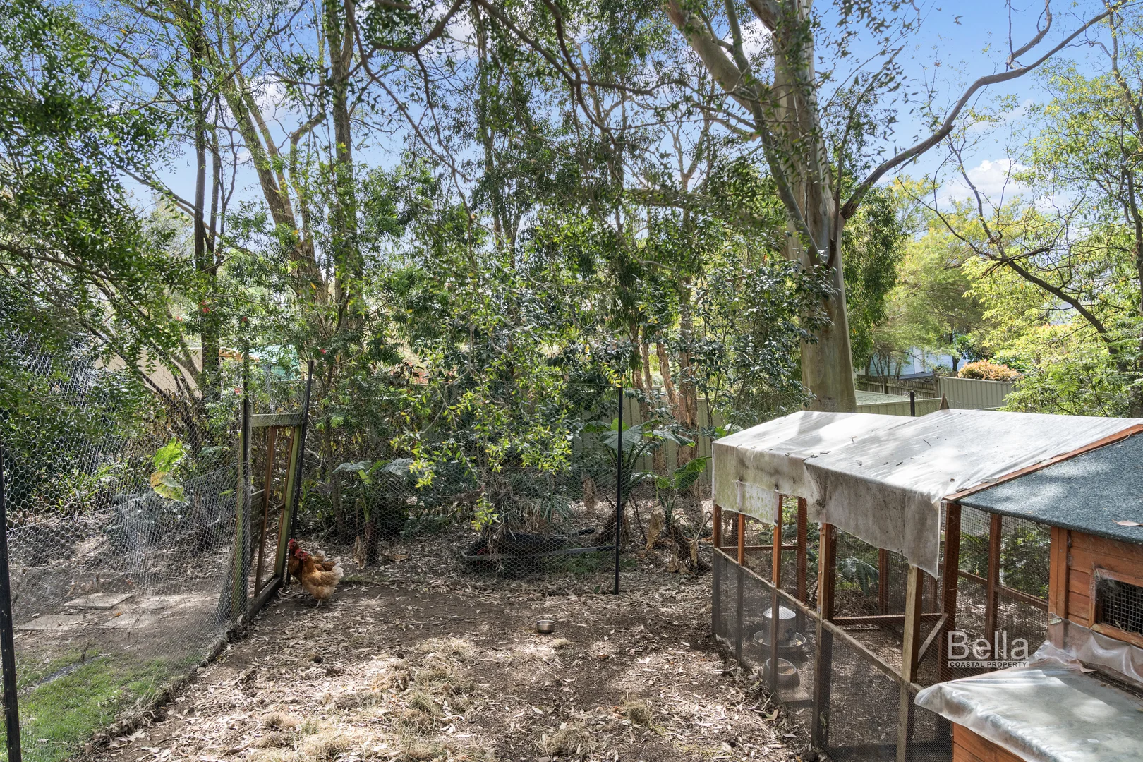 Additional image 21 of 60 Gordon Street, Milton NSW 2538