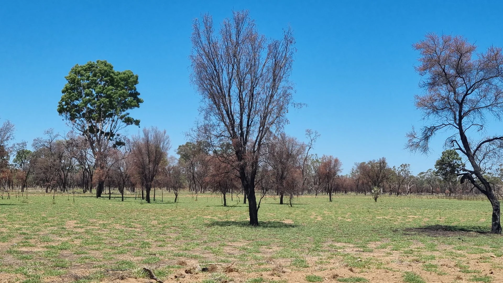 Additional image 11 of 202-410 Wallal Street, Bakers Bend QLD 4470