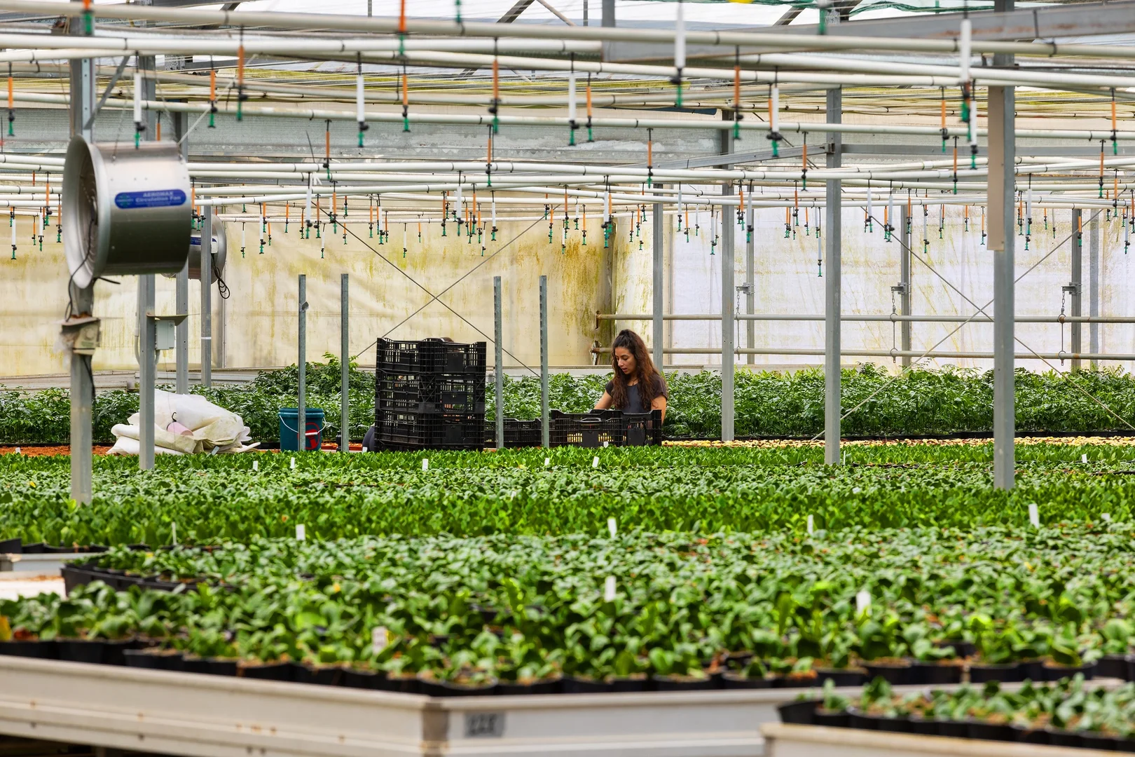 Additional image 24 of 659 Federal Drive, Federal NSW 2480