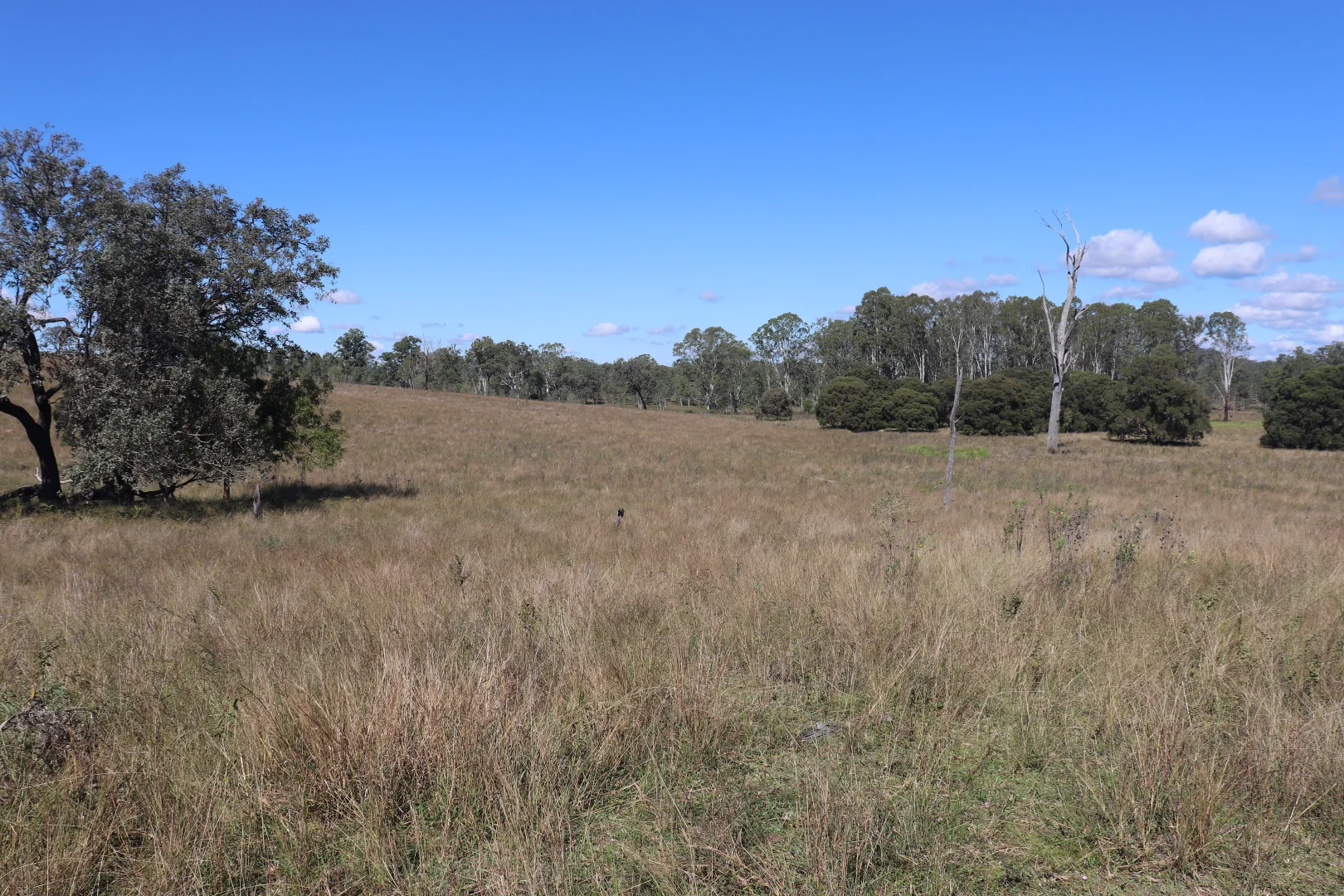 Additional image 5 of 789 Coppin Road, Mungungo QLD 4630