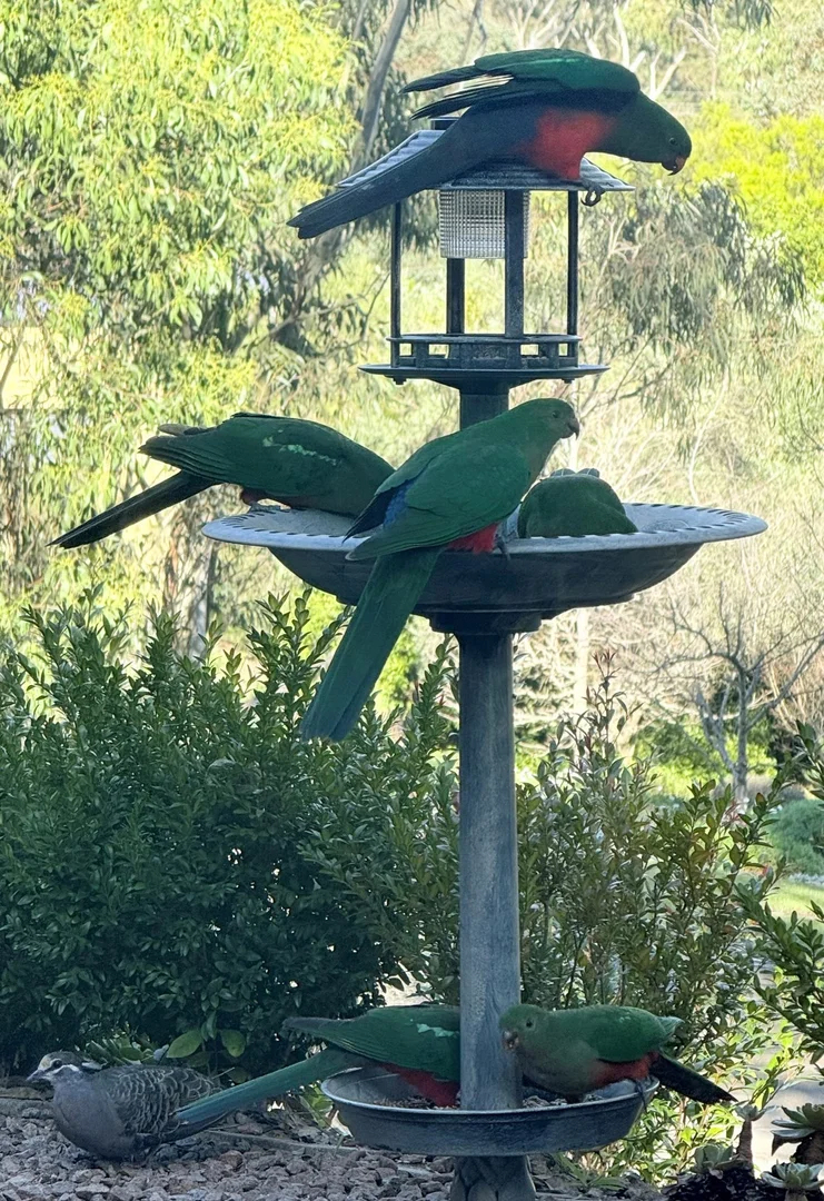 Additional image 32 of 20 kingscote drive, Metung VIC 3904