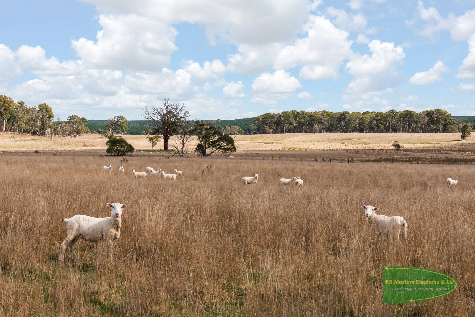 Additional image 56 of 800 Riverview Forest Road, Mozart NSW 2787