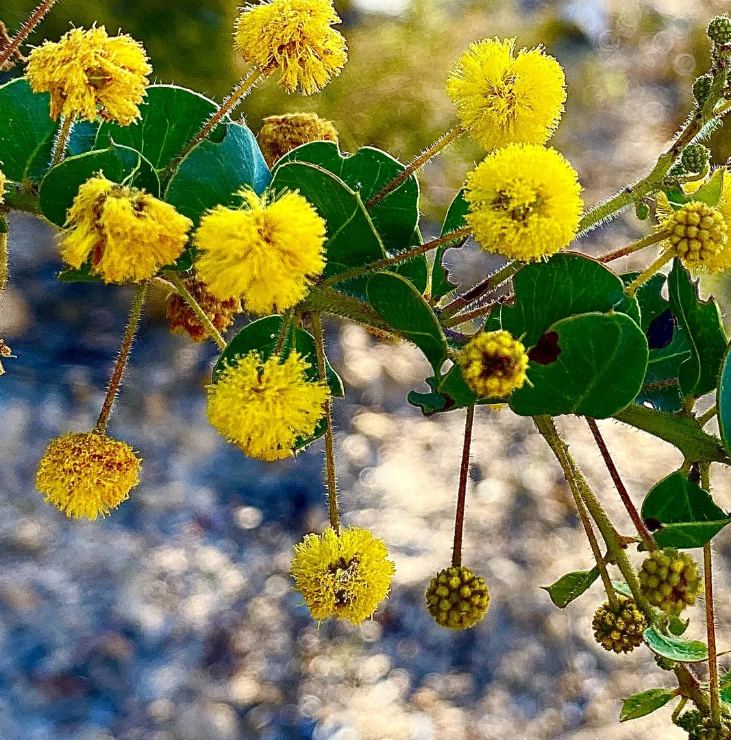 Additional image 18 of 1124 WARKTON ROAD, Coonabarabran NSW 2357