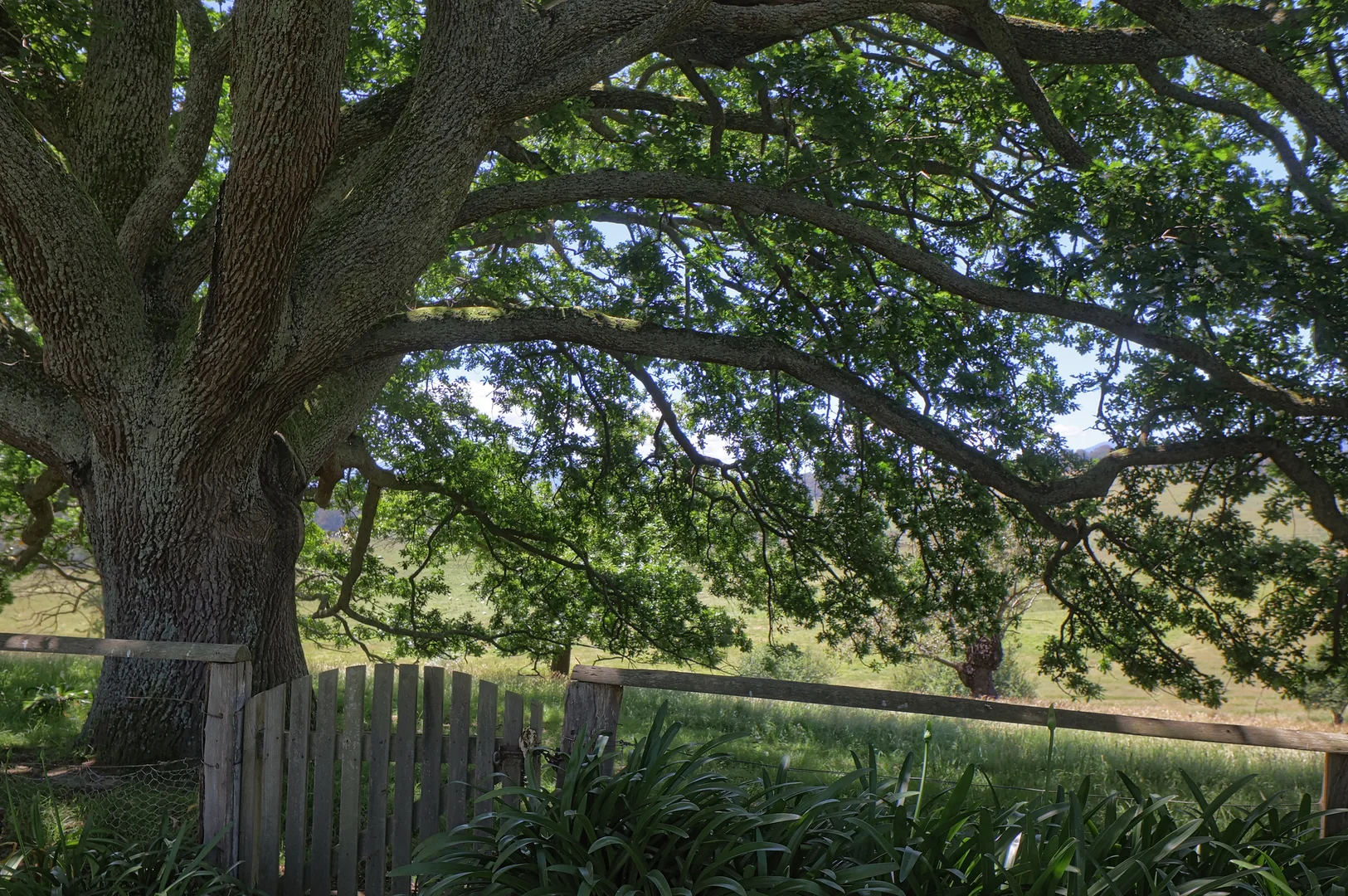 Additional image 28 of 741-745 Maroondah Highway, Coldstream VIC 3770