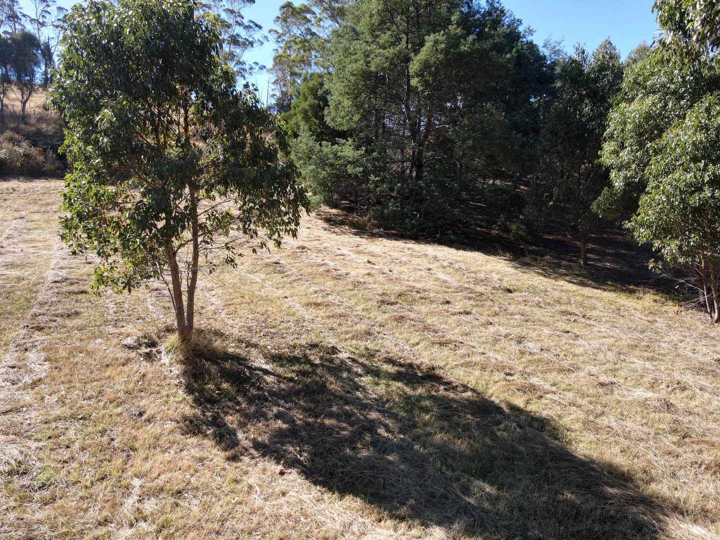 Additional image 5 of 21 Dunn Drive, Surveyors Bay TAS 7116