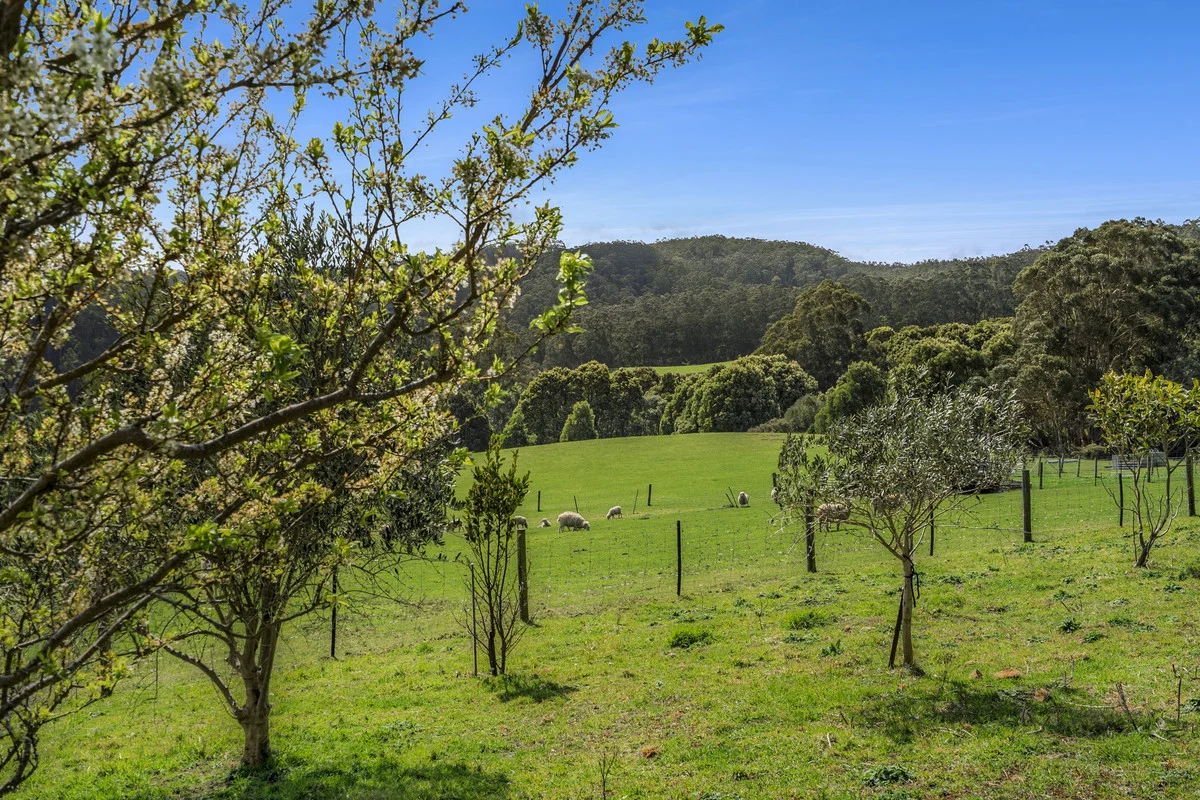 Additional image 12 of 675 Skenes Creek Road, Skenes Creek North VIC 3233