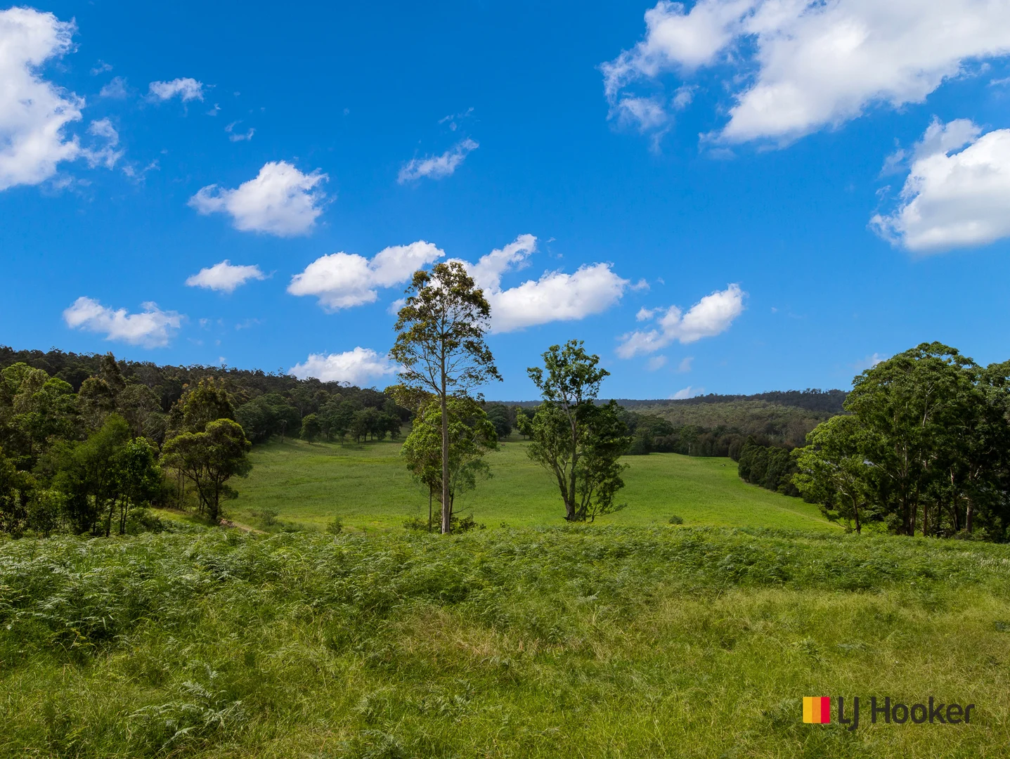 Additional image 30 of 953 The River Road, Currowan NSW 2536