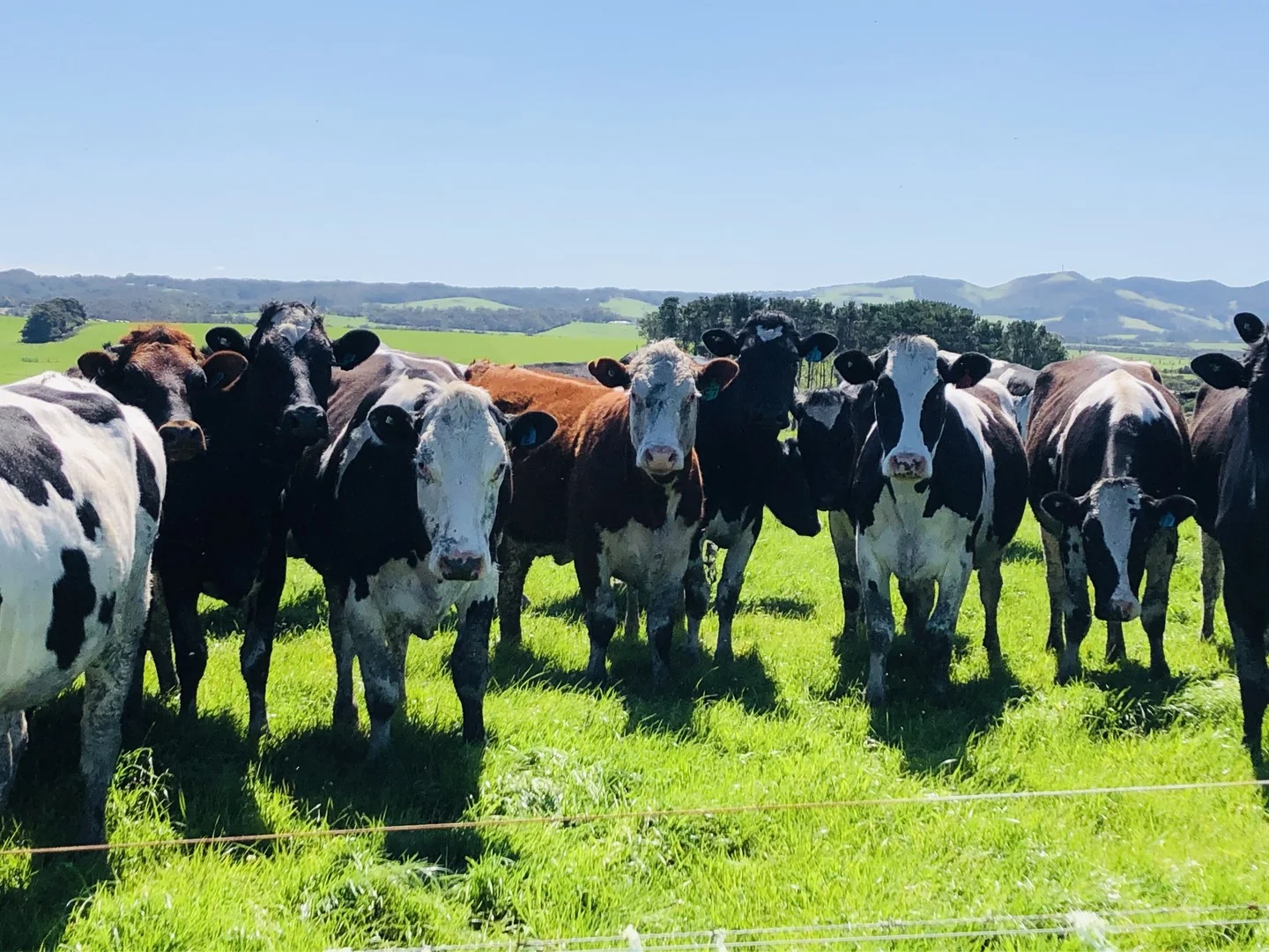 Additional image 2 of 2988 Meeniyan-Prom Rd, Yanakie VIC 3960