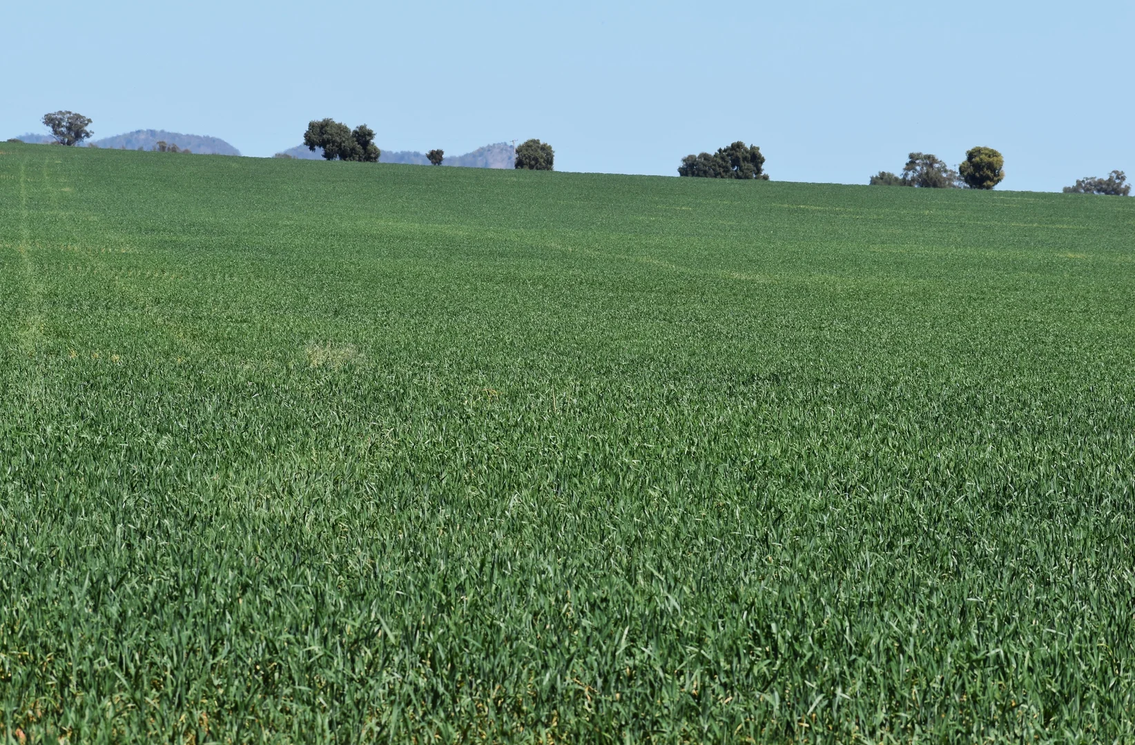 Additional image 10 of 120 Ganantagi Road, Yarrabandai NSW 2875