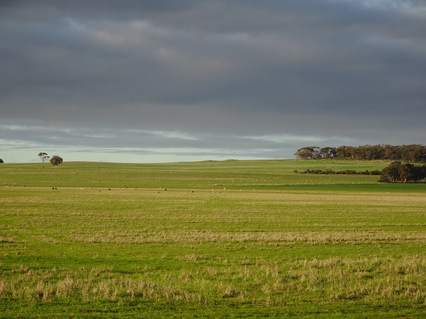 Additional image 3 of Lot 12520 Great Southern Highway, Woodanilling WA 6316