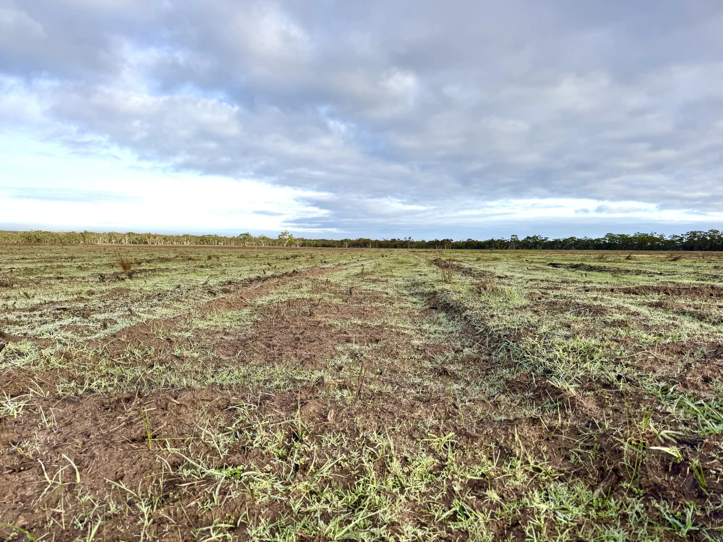 Additional image 8 of Dergholm VIC 3312