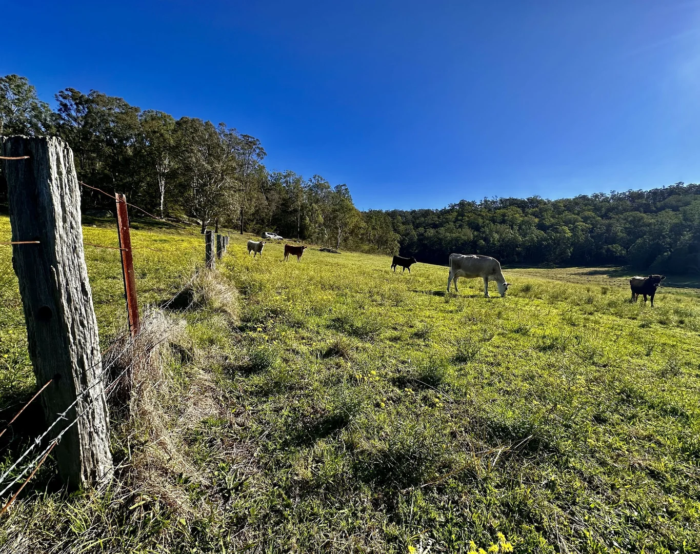 Additional image 17 of 3300 Great North Road, Wollombi NSW 2325