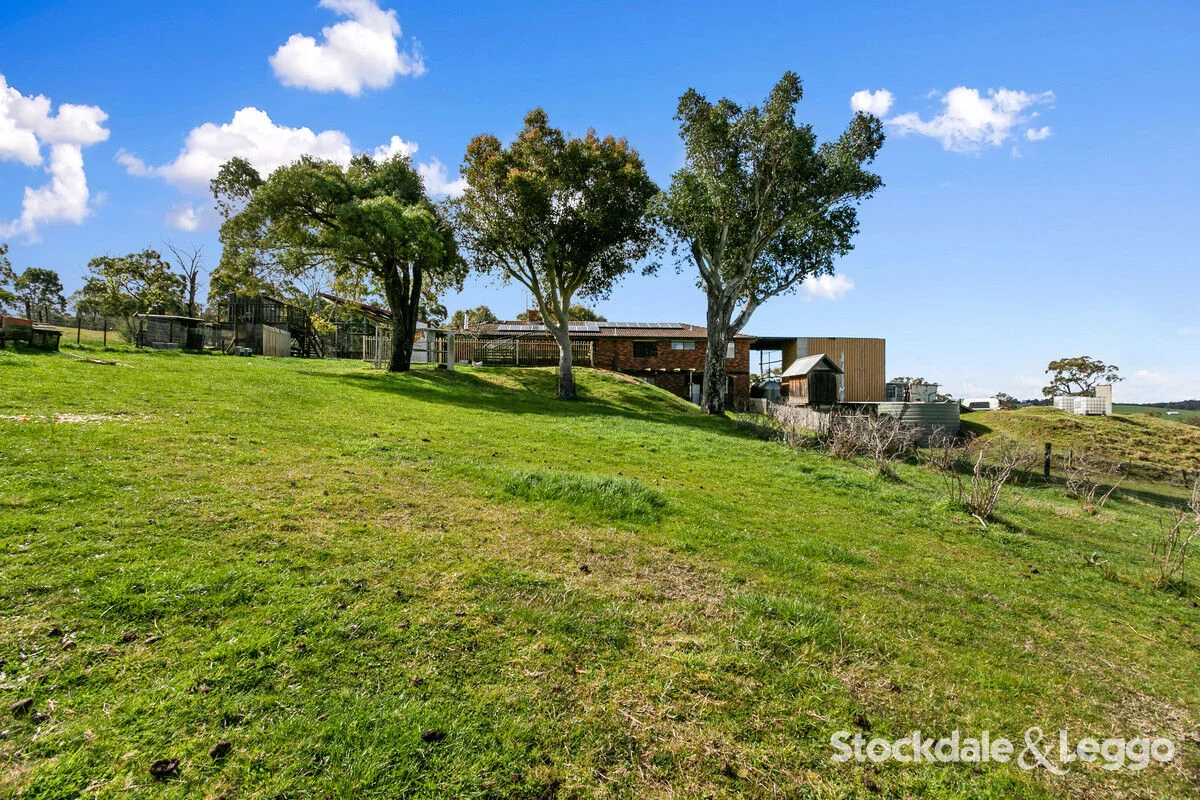 Additional image 27 of 175 Early Road, Tanjil South VIC 3825