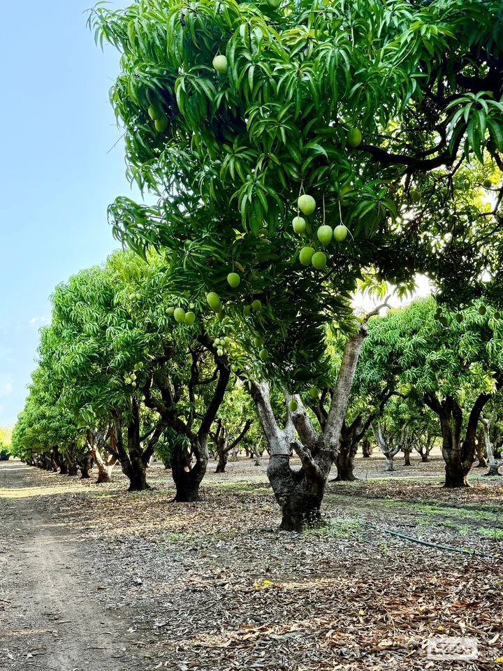 Additional image 27 of 80 & 100 Russ Road, Tumbling Waters NT 0822