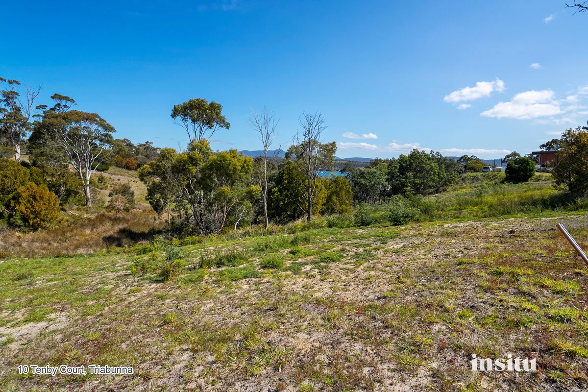 Additional image 9 of Tenby Court, Triabunna TAS 7190