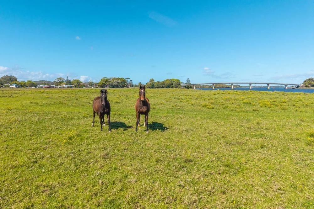 Additional image 2 of 2967 South West Rocks Road, Jerseyville NSW 2431