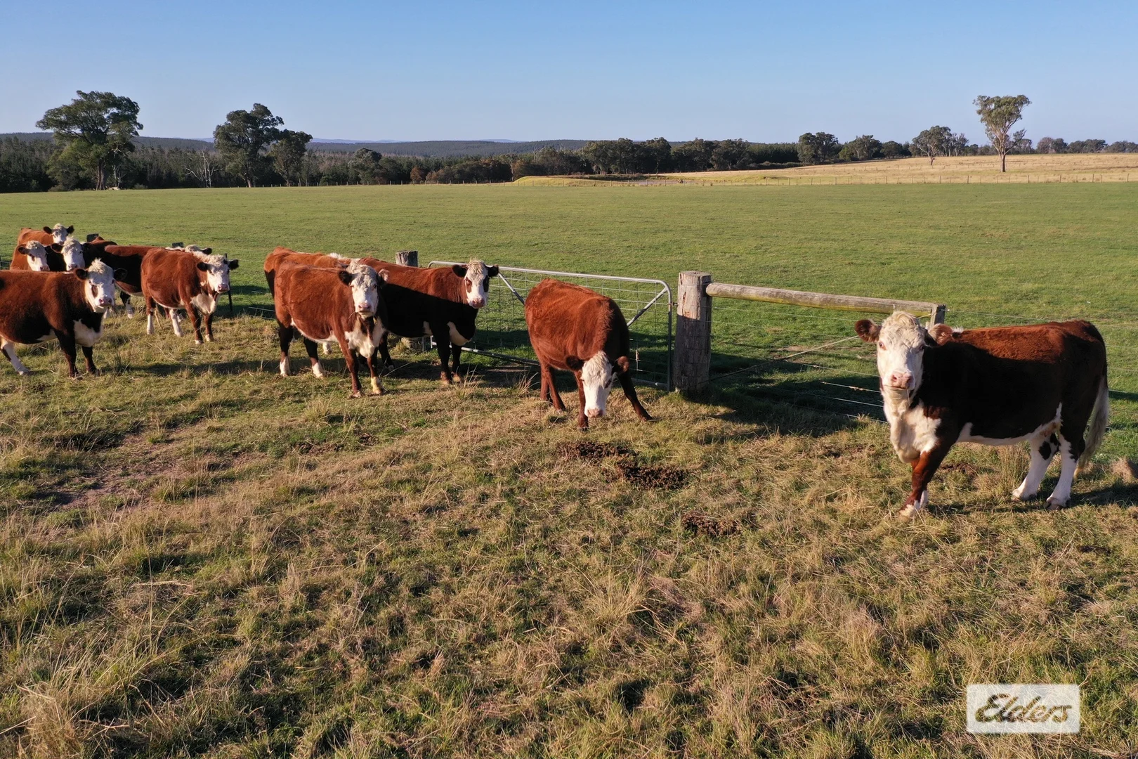 Additional image 6 of 322 Stockdale - Fernbank Road, Stockdale VIC 3862
