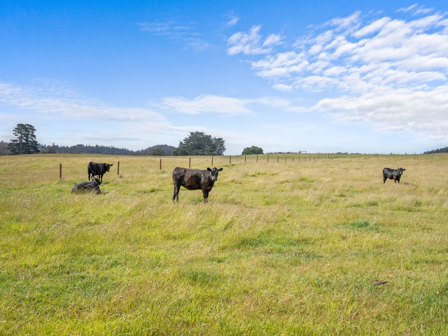 Additional image 23 of Dalwood Road, Nook TAS 7306