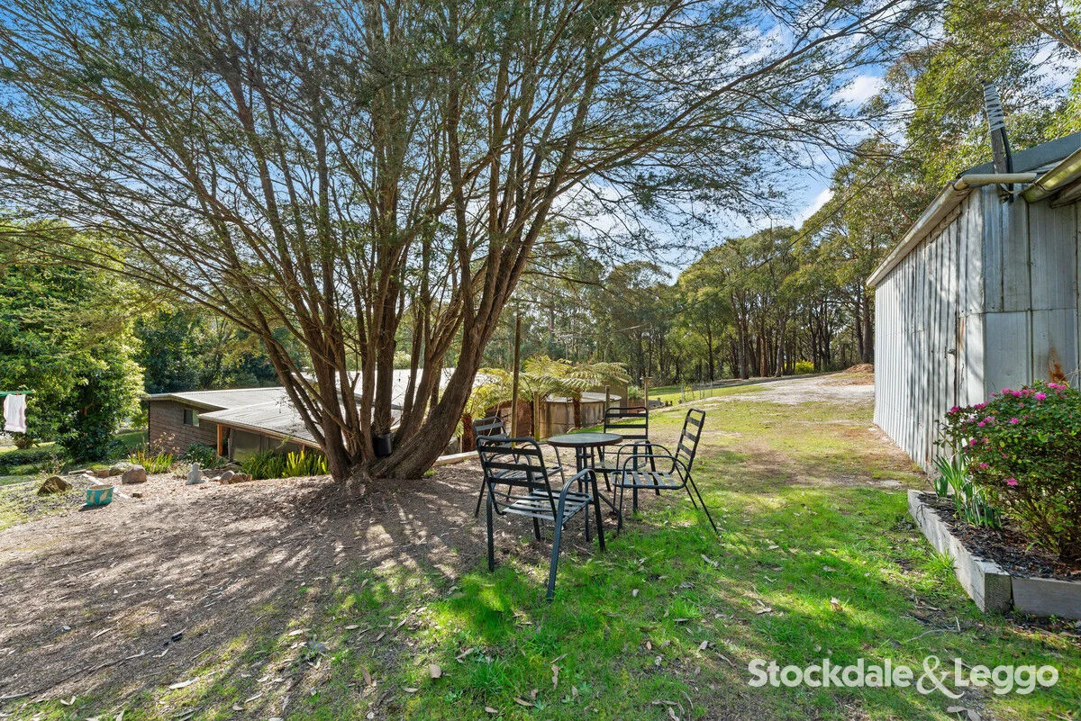 Additional image 20 of 55 MacIntoshs Road, Boolarra VIC 3870