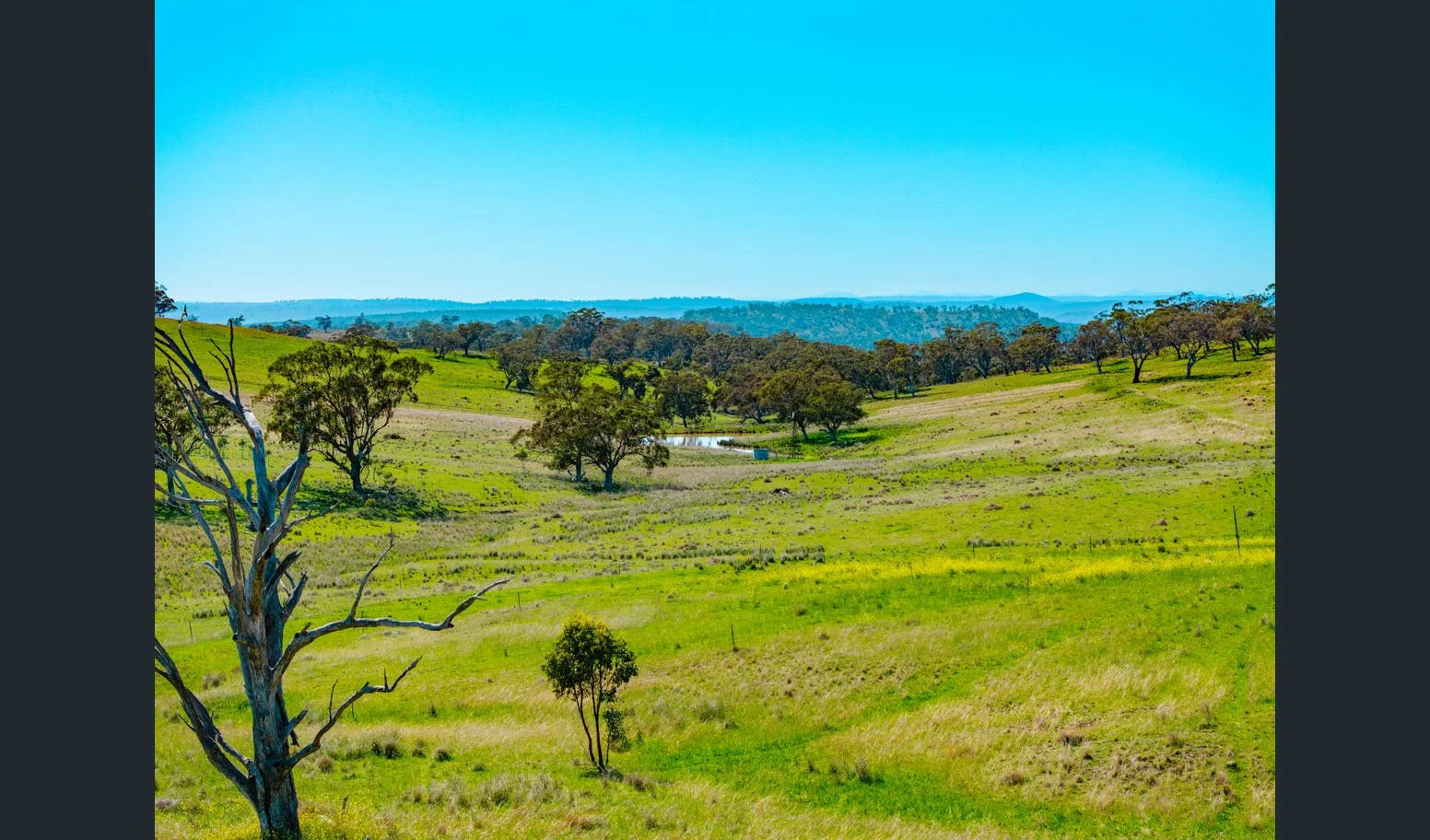 Additional image 8 of Flaggs Road, Merriwa NSW 2329