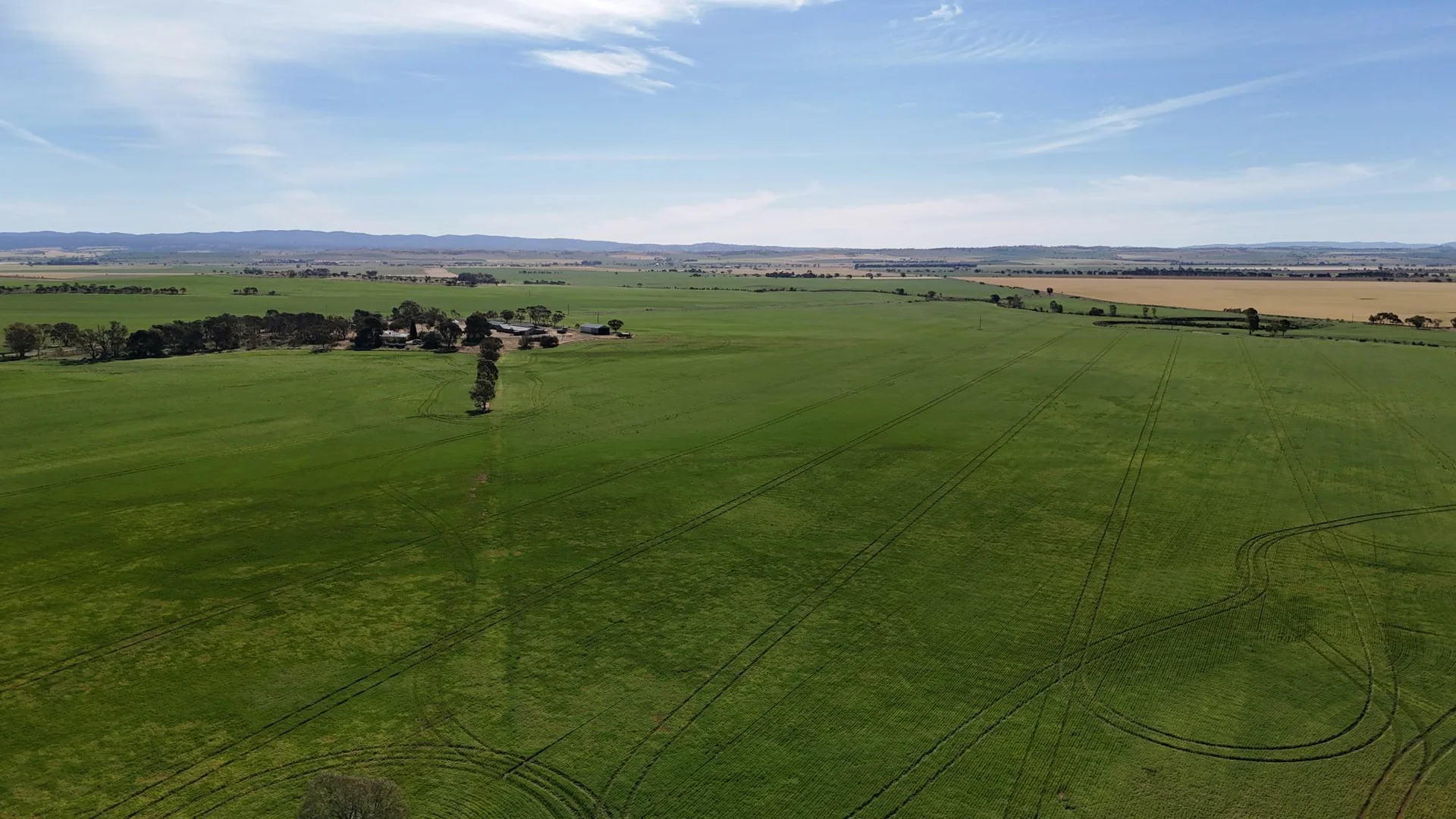 Additional image 11 of 'Pinefield' 186 Catford Rd, Appila SA 5480