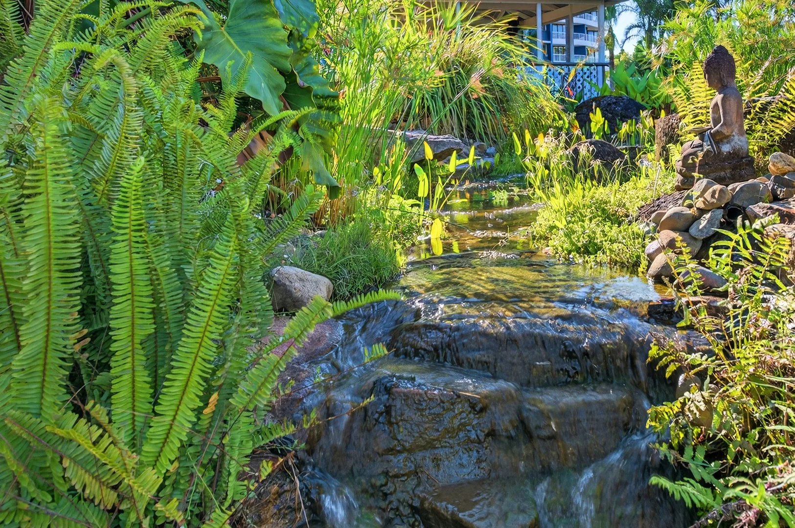 Additional image 41 of 83/17 Bayview Street, Runaway Bay QLD 4216
