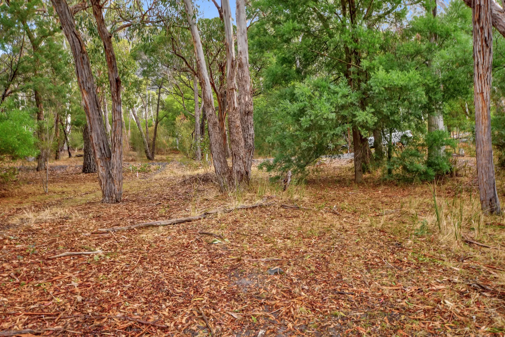 Additional image 6 of 75 High Rd, Halls Gap VIC 3381