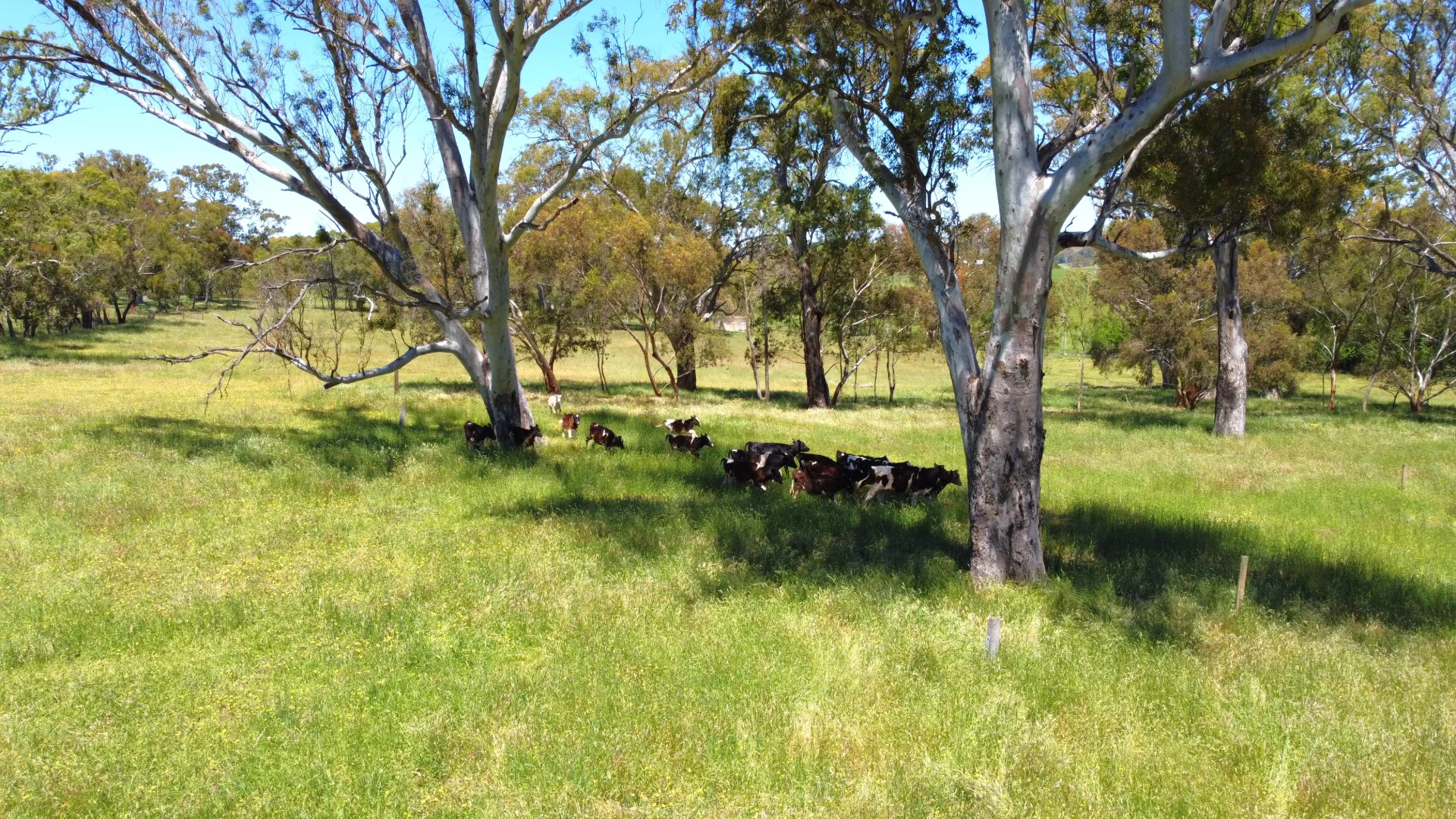 Additional image 34 of 68 Lucky Hit Road, Birdwood SA 5234