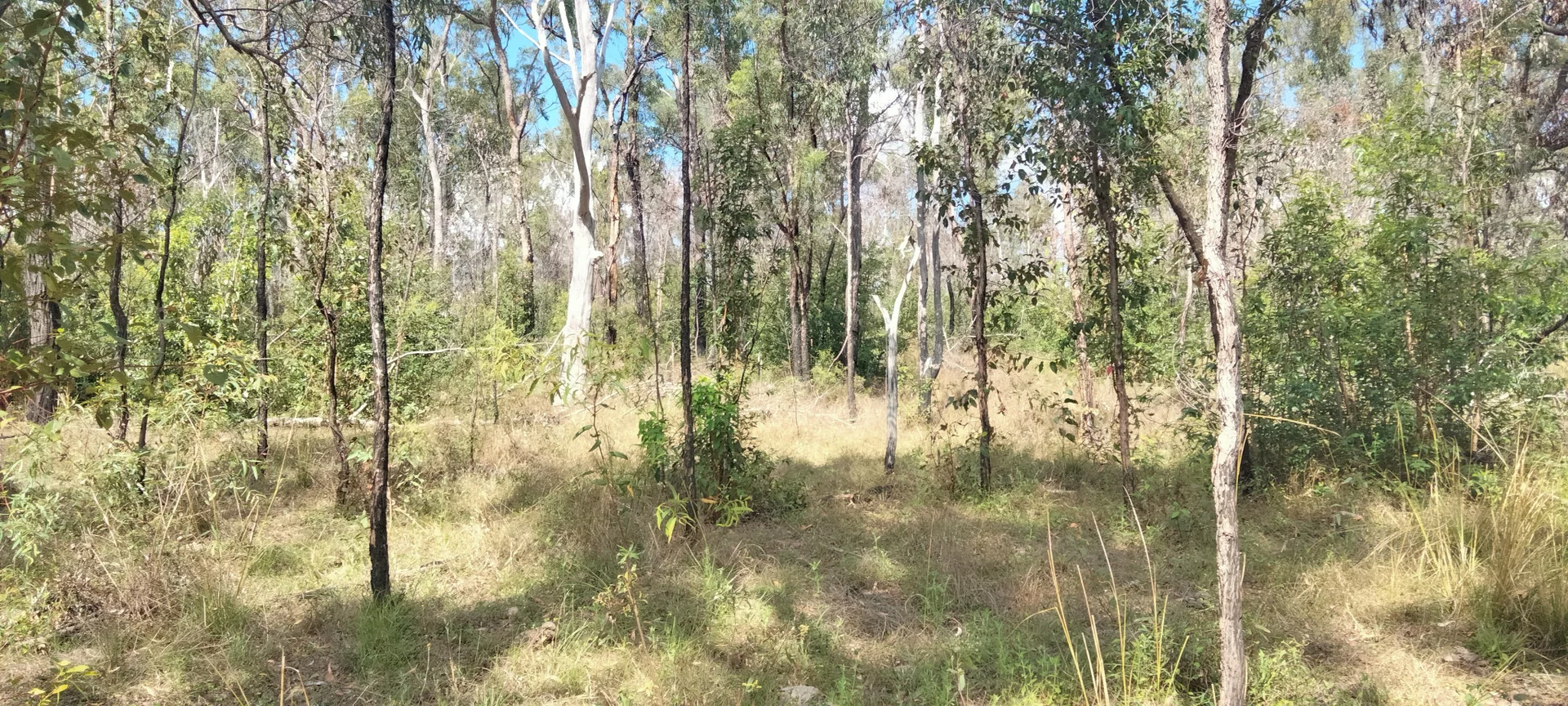 Additional image 13 of 3359 Lowmead Road, Lowmead QLD 4676