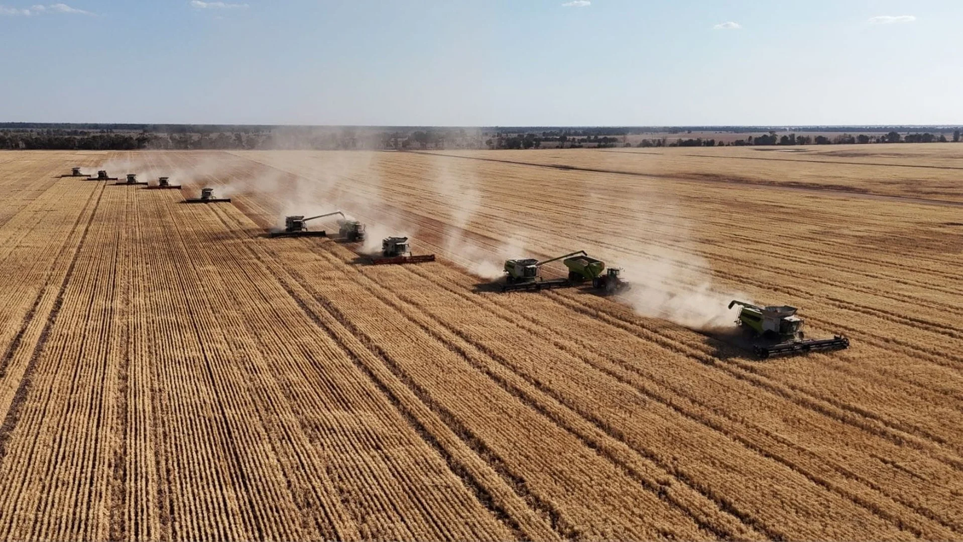 "Carpendale Agri" Gore Hwy, Goondiwindi QLD 4390