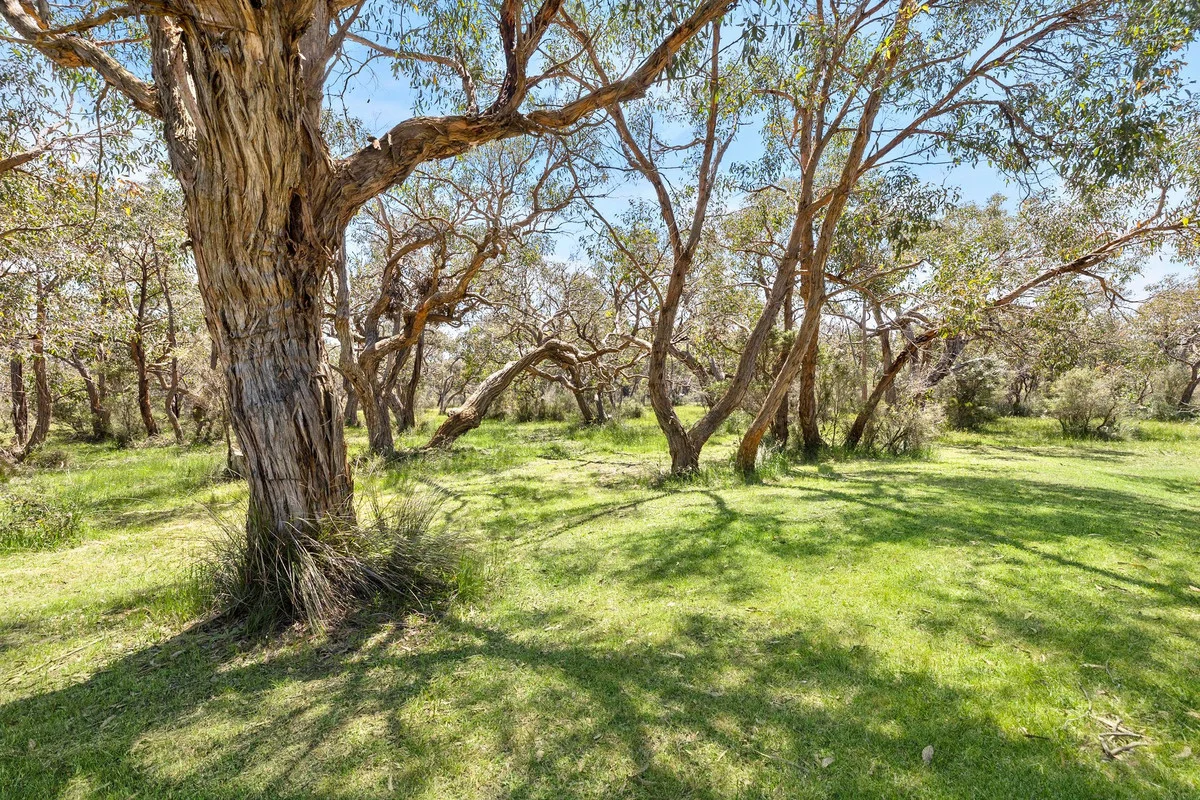 Additional image 13 of 15 Minter Drive, Bellbrae VIC 3228