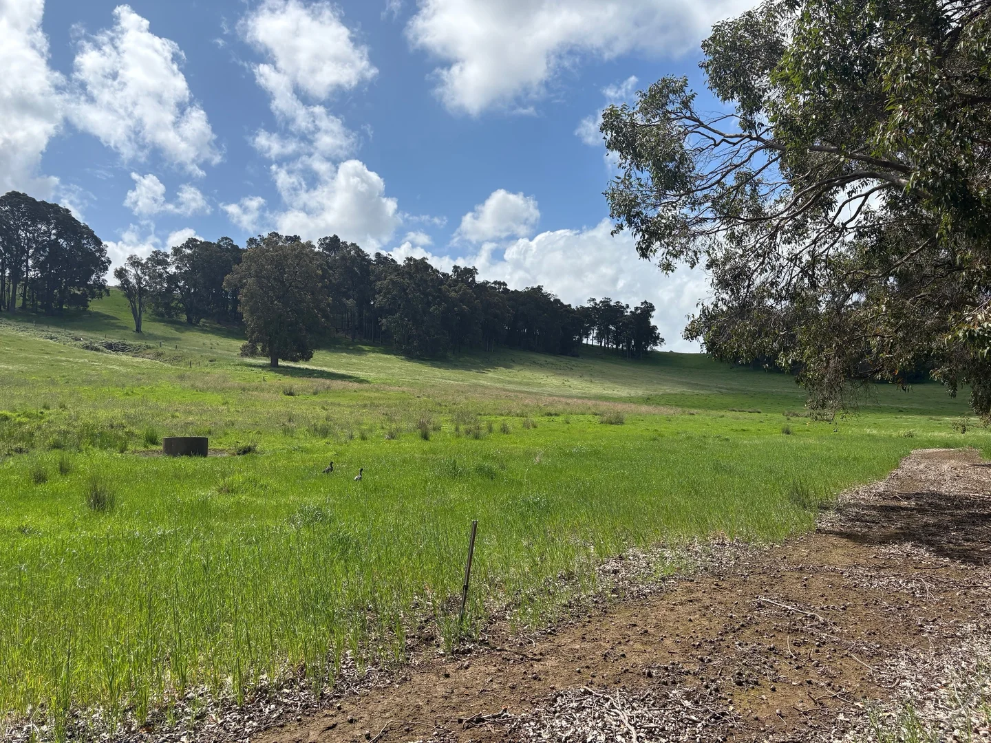 Additional image 5 of Lot 72 Beelerup Road, Beelerup WA 6239