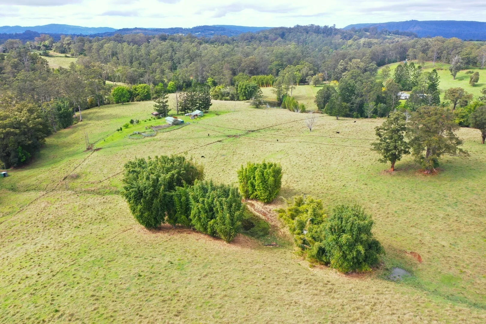 Additional image 28 of 66 Old Tweed Road, Wadeville NSW 2474