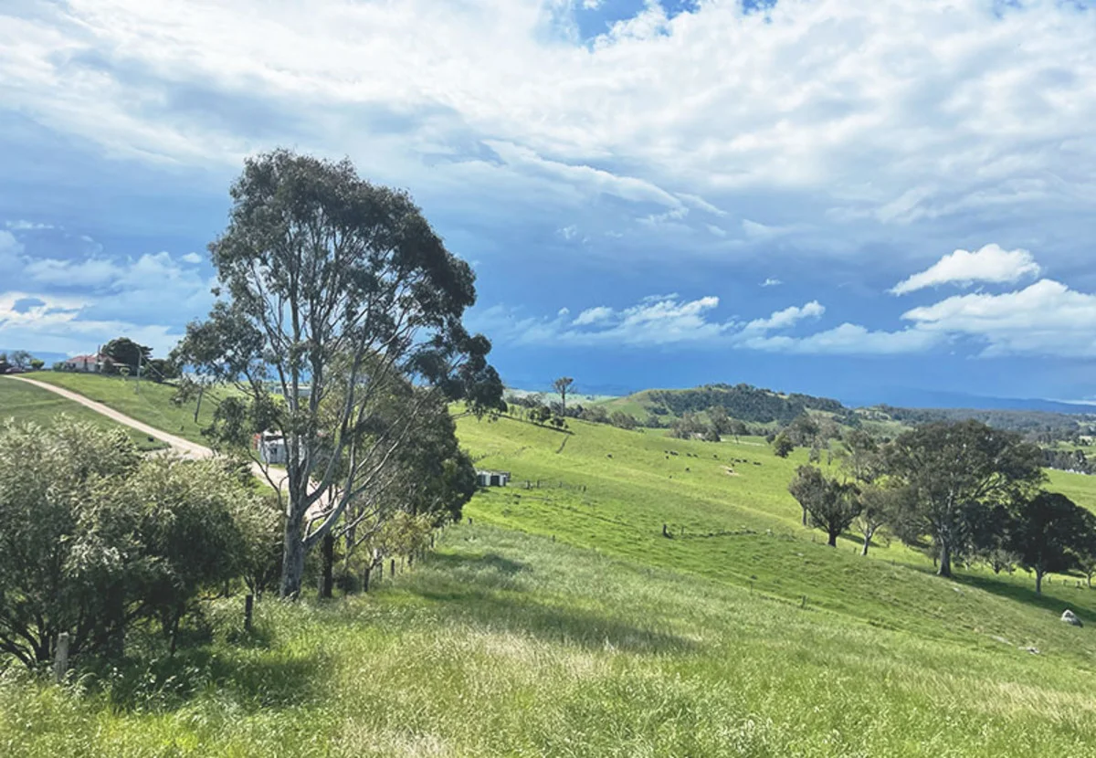 Additional image 12 of 169 Cochranes Road, Wolumla NSW 2550