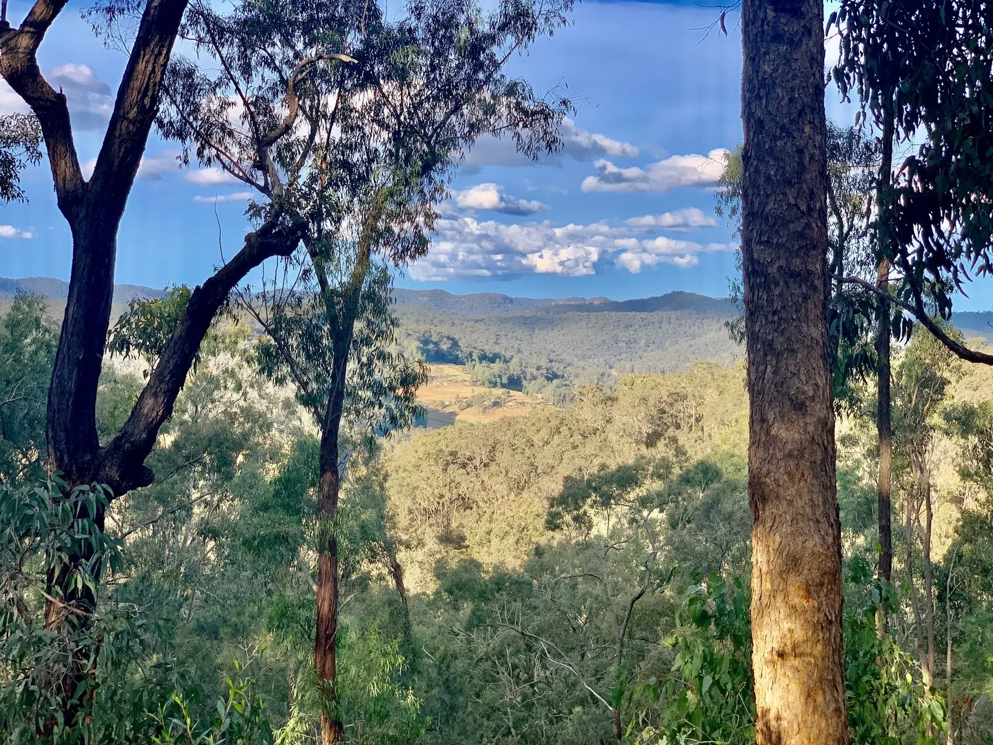 Additional image 27 of 3300 Great North Road, Wollombi NSW 2325