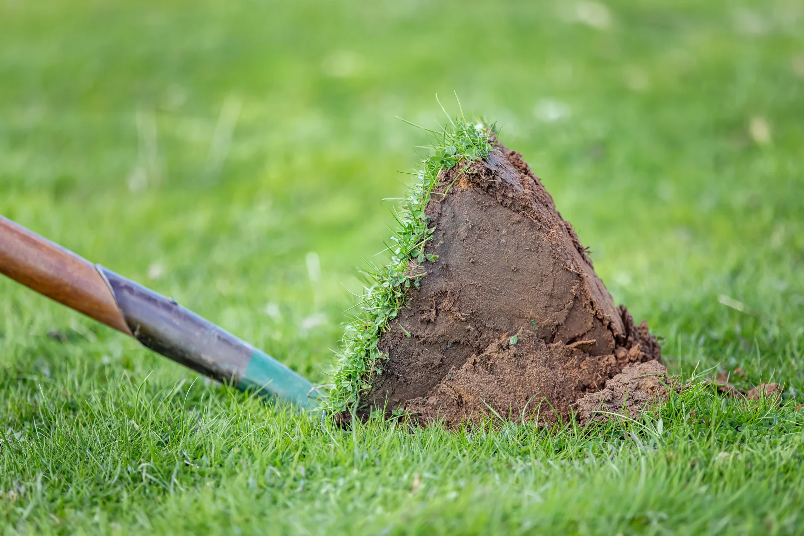 Additional image 10 of 219 Ockley Rd, Comaum SA 5277