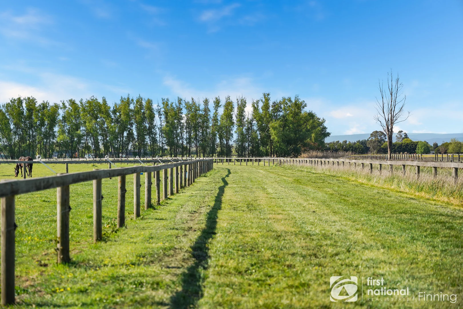 Additional image 4 of 165 Scanlons Drain Road, Bayles VIC 3981