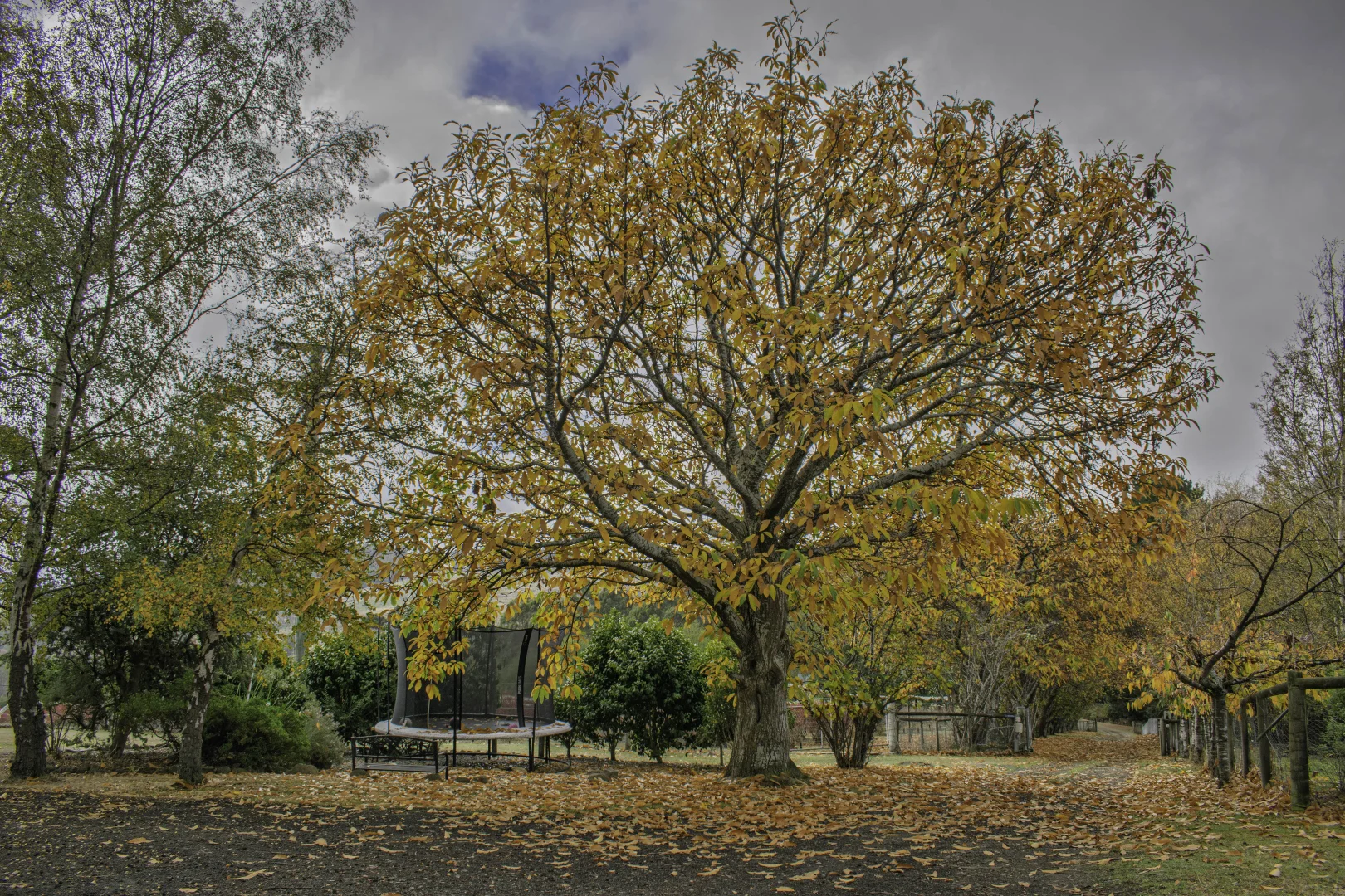 Additional image 4 of 304 Dickensons Creek Road, Glen Huon TAS 7109