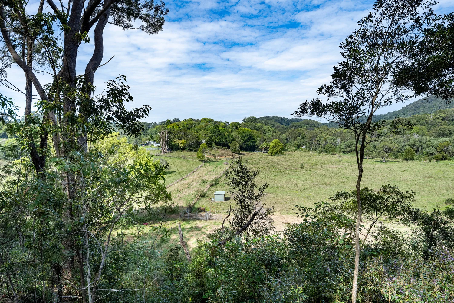 Additional image 14 of 38 Wooyung Road, Wooyung NSW 2483