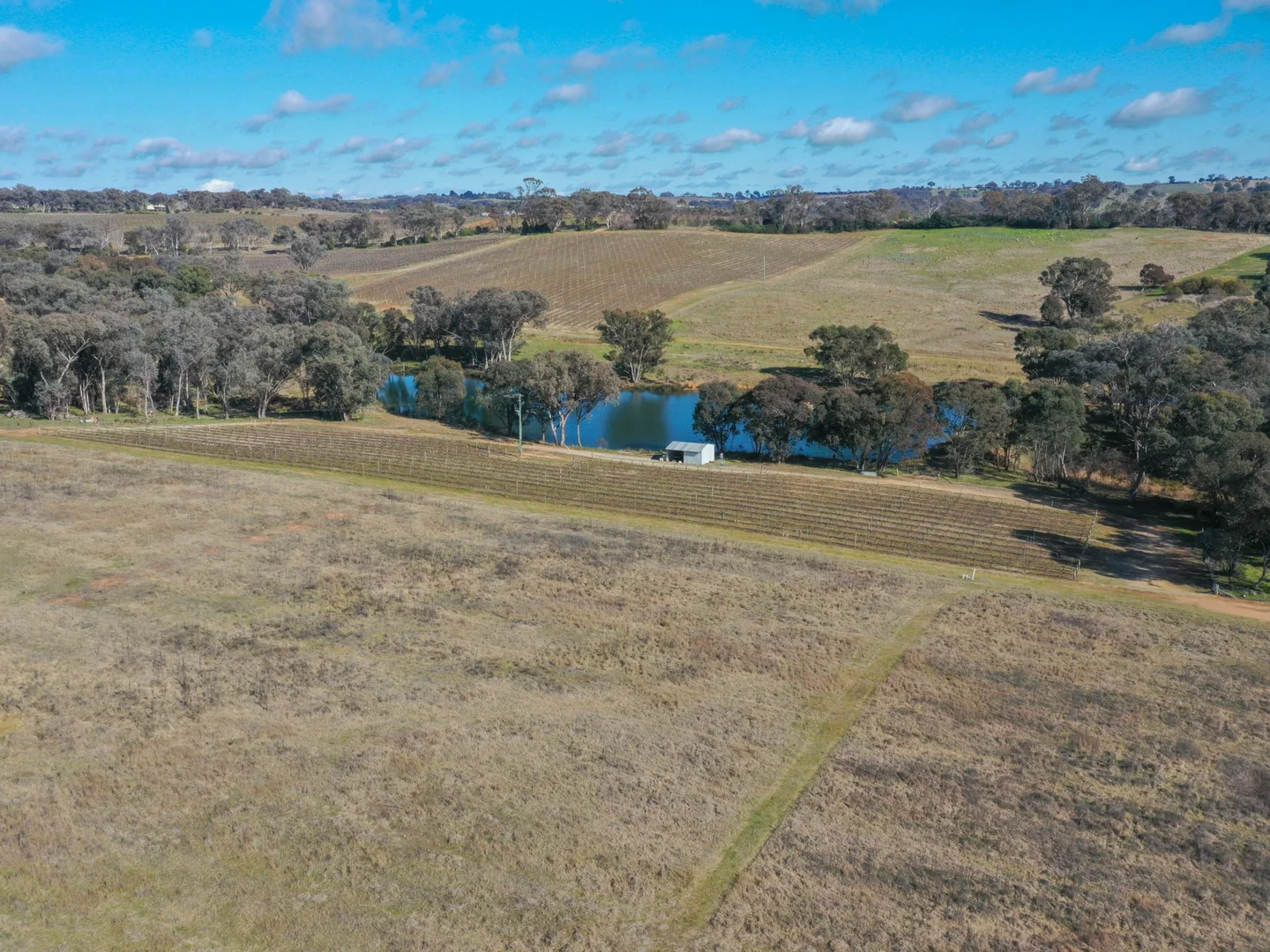 Additional image 18 of 155 Tierneys Road, Young NSW 2594