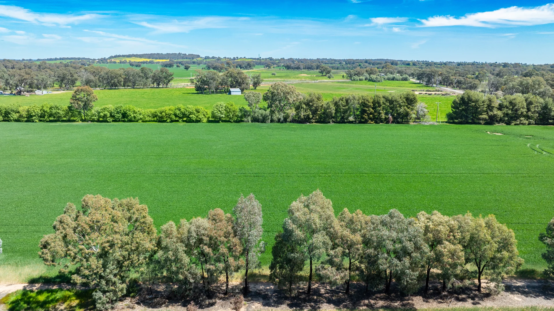 Additional image 13 of 106 Cornishtown Road, Rutherglen VIC 3685