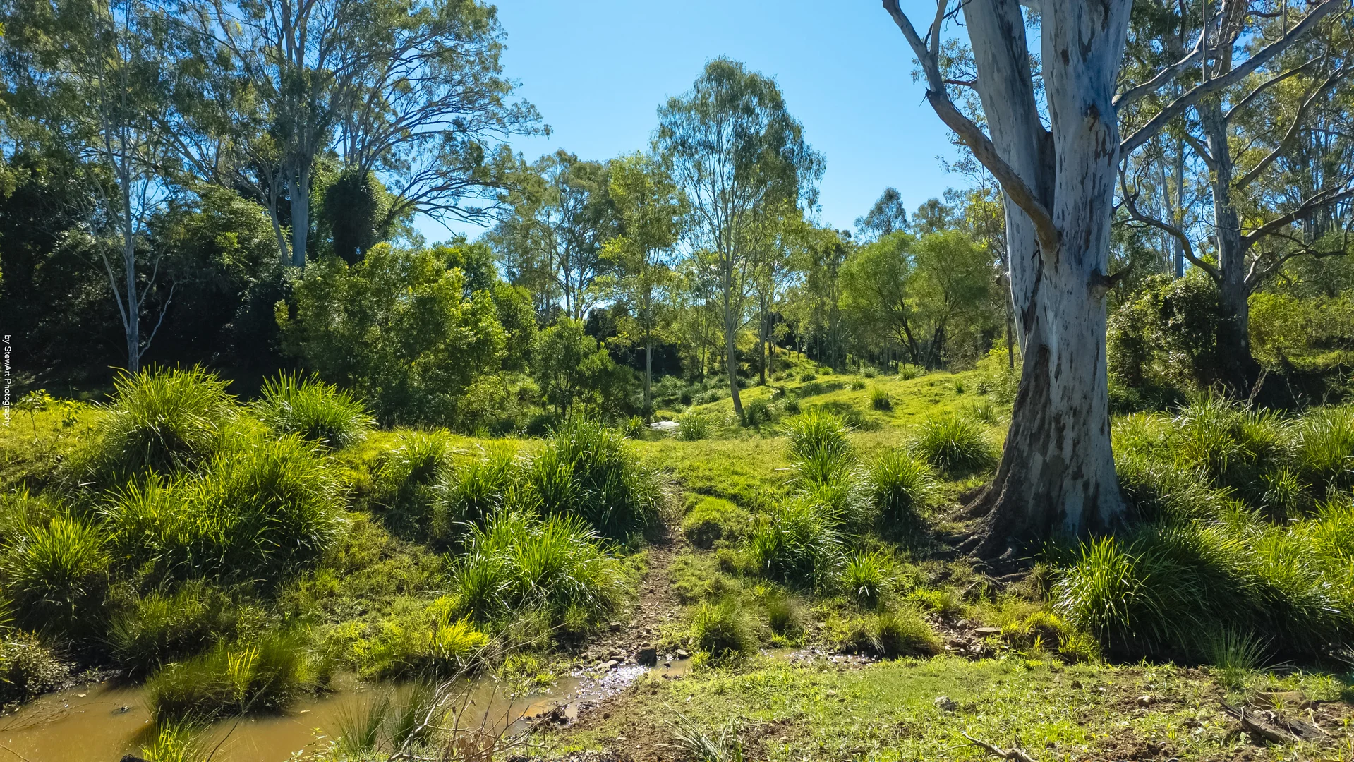 Additional image 16 of 2331 Mungar Road, Tiaro QLD 4650