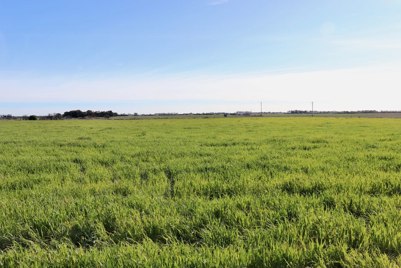 Additional image 10 of 1, 2, 3 &, 4 COLAC-BALLARAT ROAD, Rokewood VIC 3330