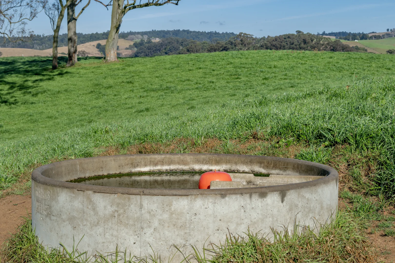 Additional image 11 of 1431 Coramba Road, Dorrigo NSW 2453